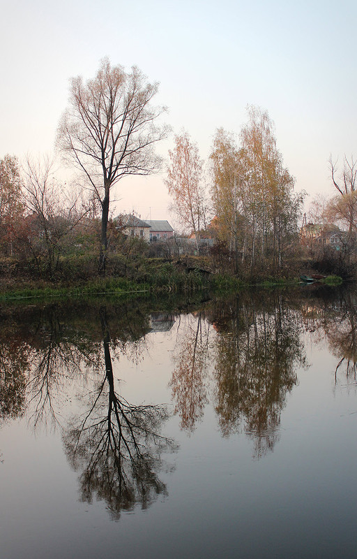 Фотографія Лука / Андрей Кучмий / photographers.ua