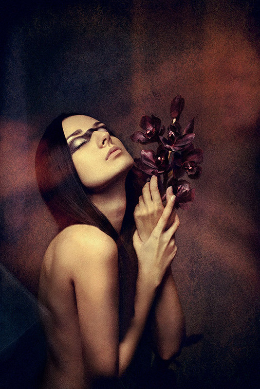 Фотографія black orchid... / Kleo / photographers.ua