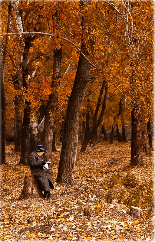 Фотографія в осеннем лесу / EVGENIJ BABENKO / photographers.ua