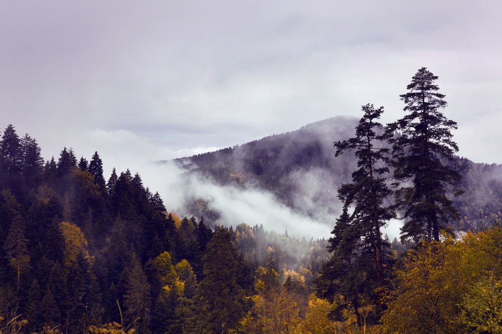 Фотографія Сиреневый туман. Грузия. Район Сиони. / Olga Posth / photographers.ua