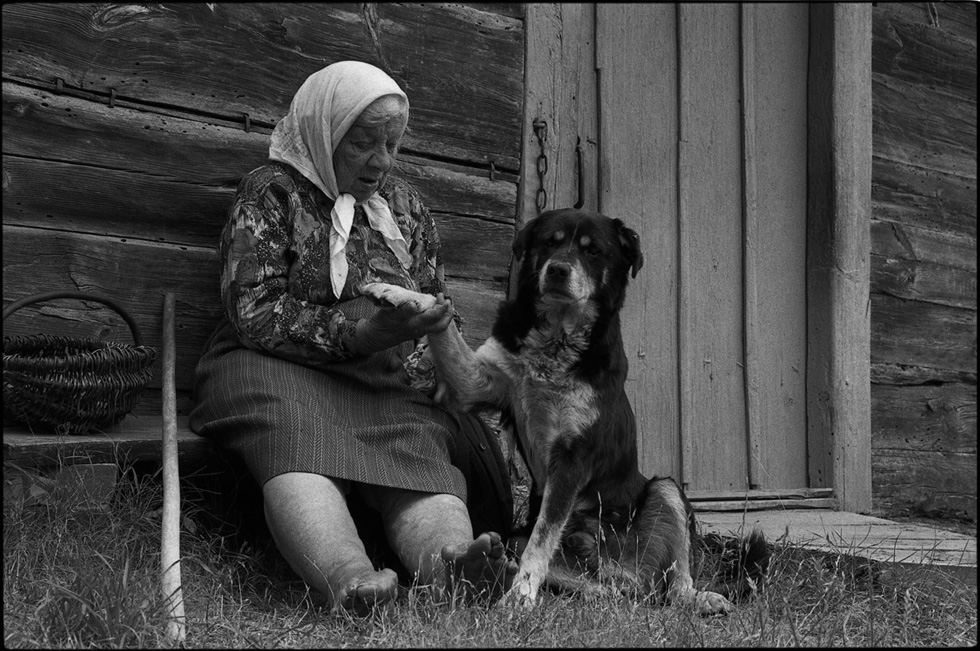 Фотографія Жанр / Олександр Примак / photographers.ua