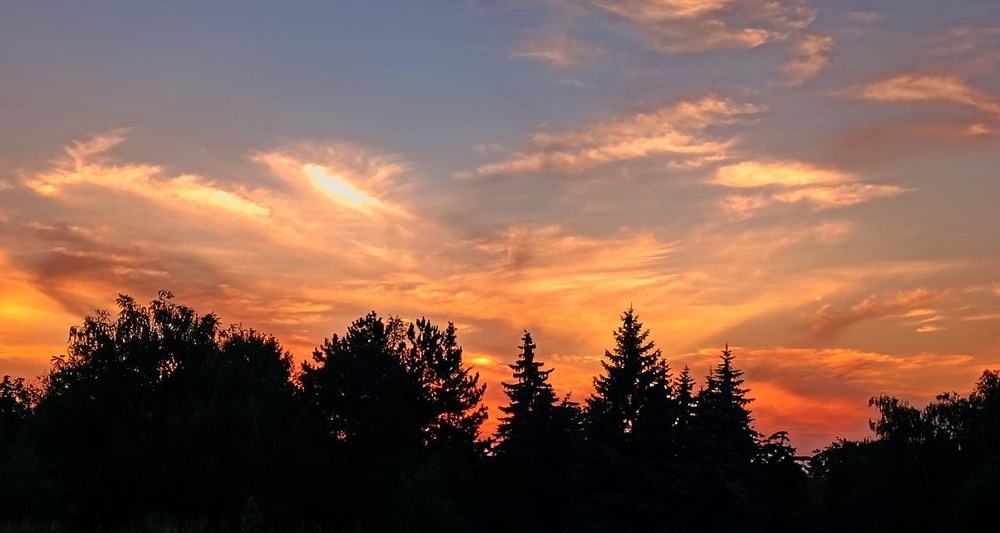 Фотографія Пейзаж / ...Таня... / photographers.ua