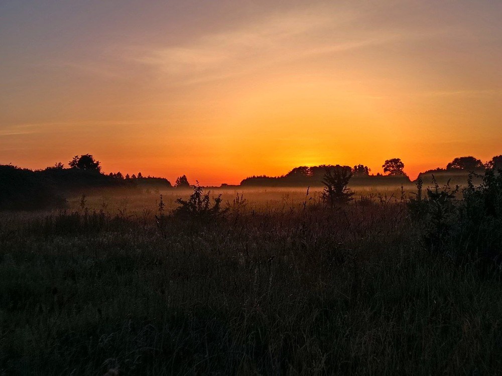 Фотографія Пейзаж / ...Таня... / photographers.ua