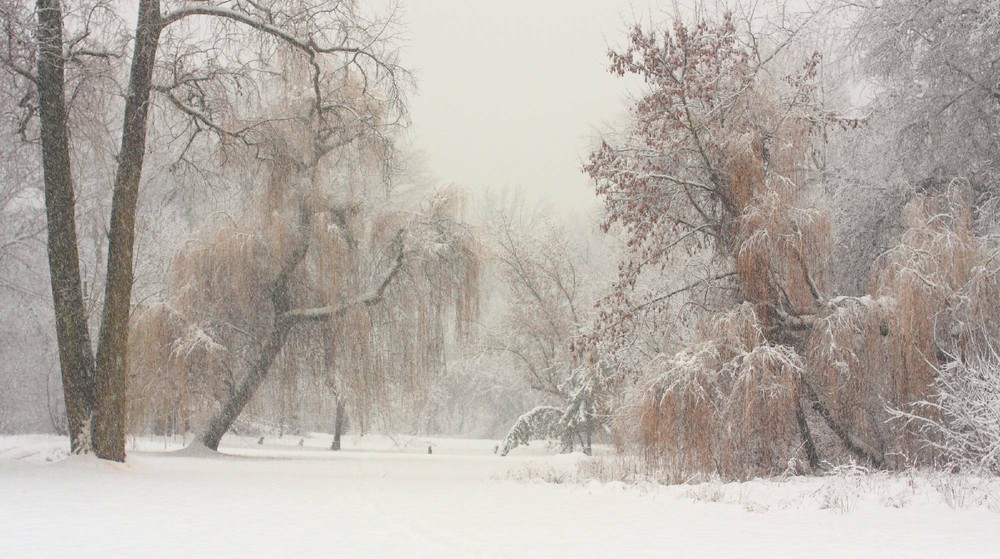 Фотографія Пейзаж / Олександр Фощан / photographers.ua