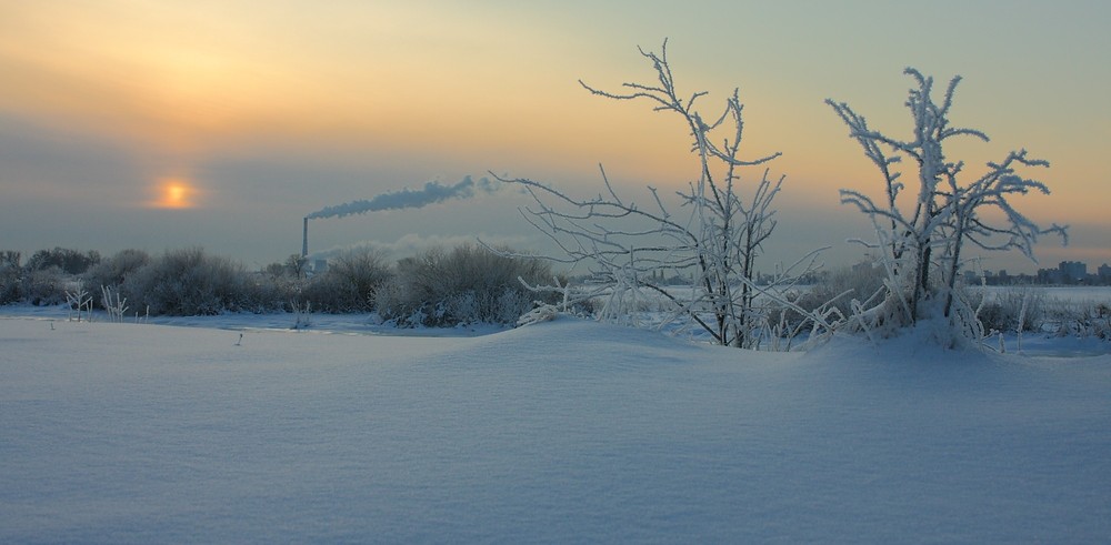 Фотографія Морозное утро. / Олександр Фощан / photographers.ua
