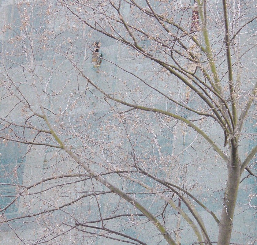 Фотографія Занавешу туманом все окна / Ыукпун / photographers.ua