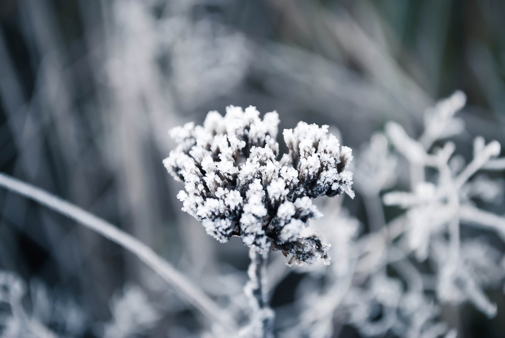 Фотографія зимовитість) / An Svyryd / photographers.ua