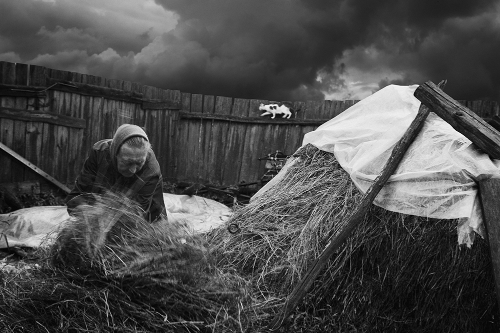 Фотографія Мабуть буде дощ / Сергій Костенков / photographers.ua