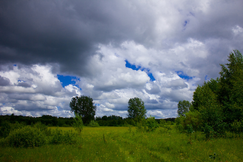 Фотографія Вітер хмарку наганяє, мабуть буде дощ.... / sosha / photographers.ua