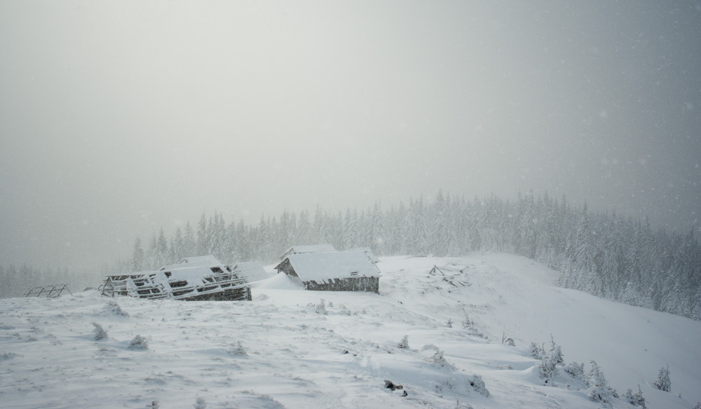 Фотографія Про сніг / Viktor K. / photographers.ua