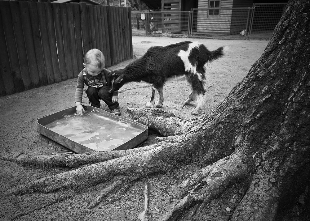 Фотографія Два малыша / Liudmyla Uskova / photographers.ua