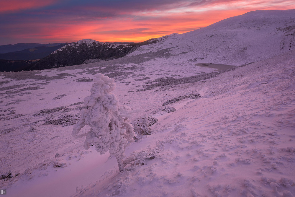 Фотографія Морозное дыхание Черногоры #2 / Уран Двеститридцатьпять / photographers.ua