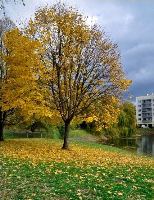 Фотографія ...осінь... / Khristina / photographers.ua