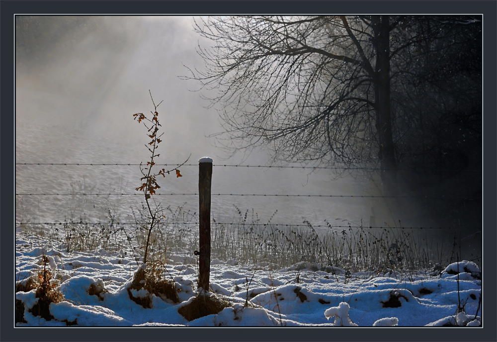 Фотографія 0537  Однажды зимним утром / Valziwa / photographers.ua
