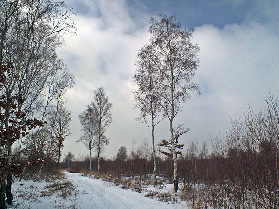 Фотографія 0357  В морозный день / Valziwa / photographers.ua