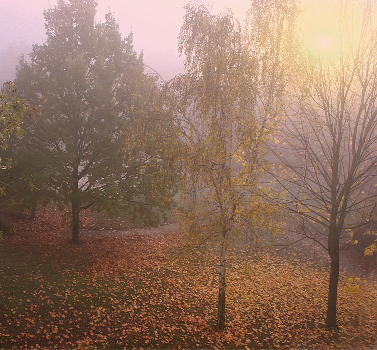 Фотографія 0574  Осени утро туманное / Valziwa / photographers.ua