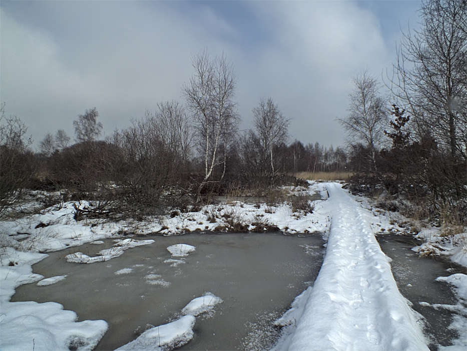 Фотографія 0354  Тропа через болото / Valziwa / photographers.ua