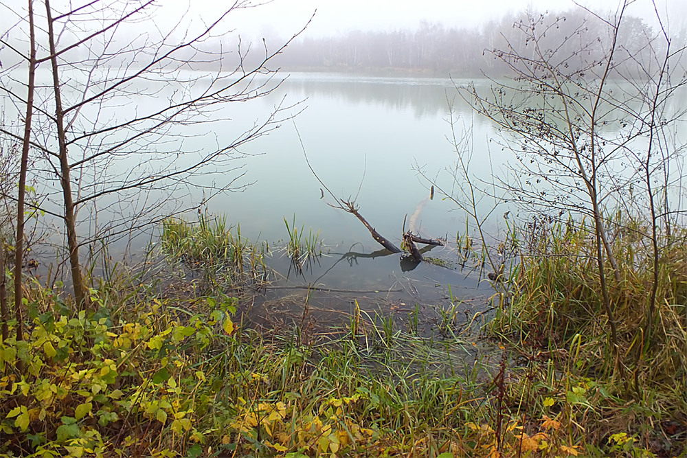 Фотографія 0313  Тихое озеро / Valziwa / photographers.ua