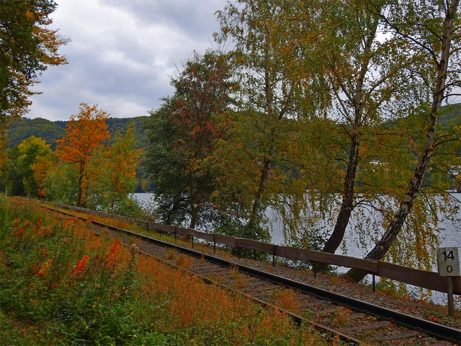 Фотографія Шагает осень по шпалам / Valziwa / photographers.ua