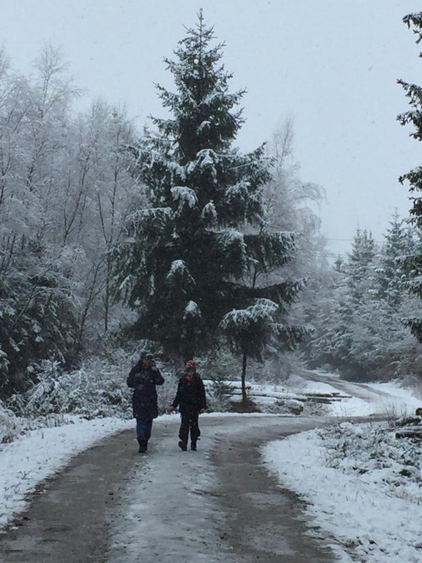 Фотографія Знмняя прогулка / Valziwa / photographers.ua