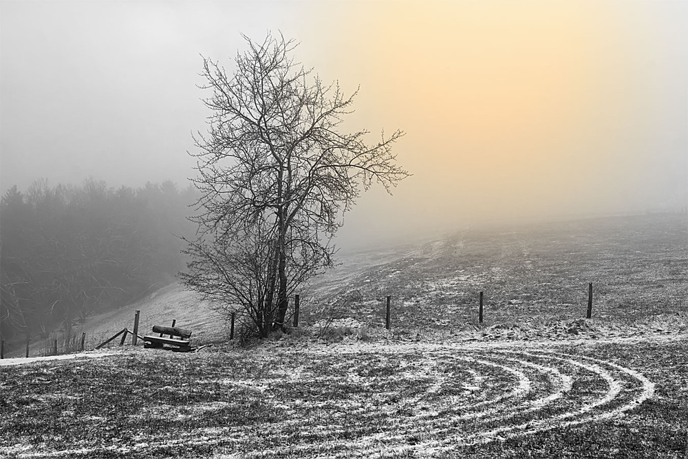 Фотографія 0067  Двадцать второе Декабря - начало новой эры / Valziwa / photographers.ua