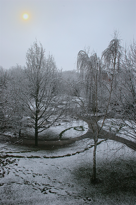 Фотографія 0330  Морозный день / Valziwa / photographers.ua