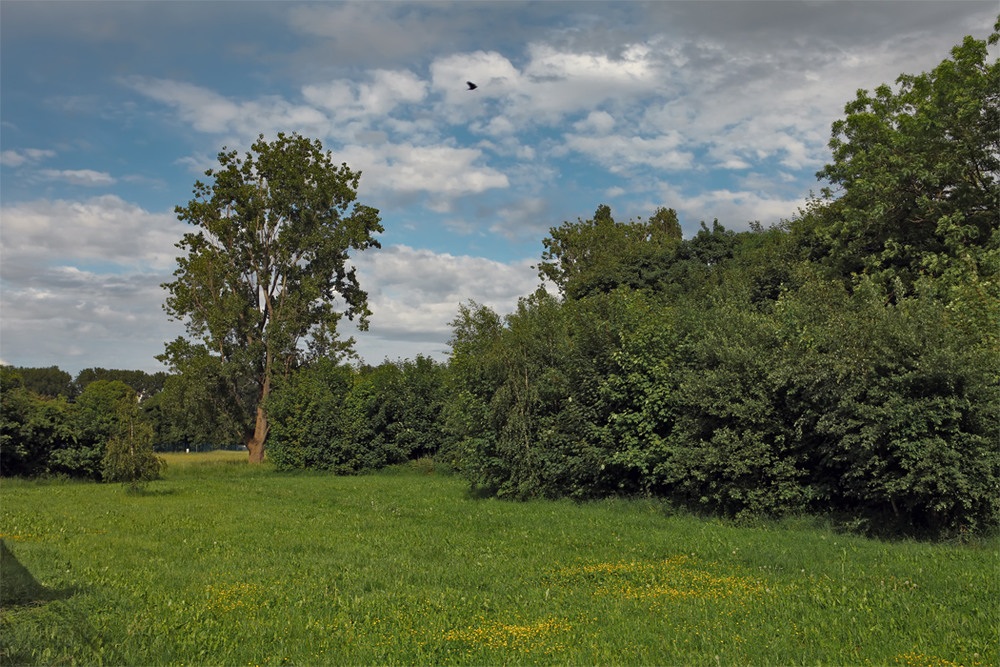 Фотографія 0374  Вся земля теплом согрета / Valziwa / photographers.ua