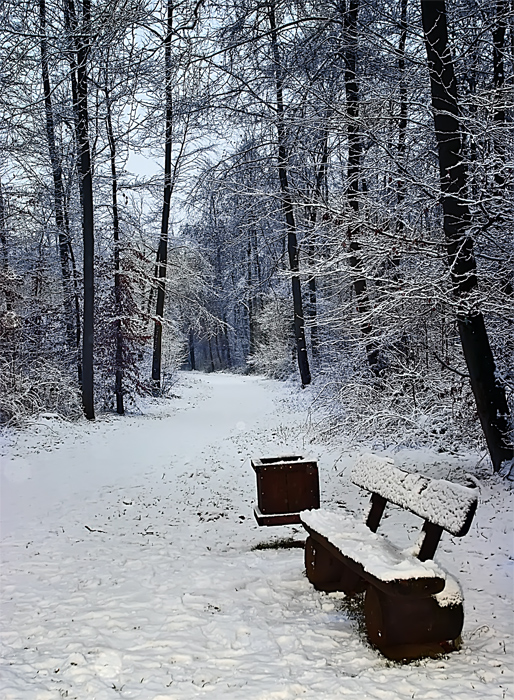 Фотографія 0088  Посидеть в тиши зимы / Valziwa / photographers.ua