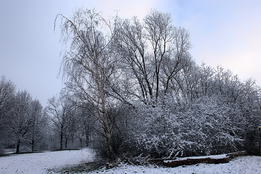 Фотографія 0328  Зима холодом дышала / Valziwa / photographers.ua