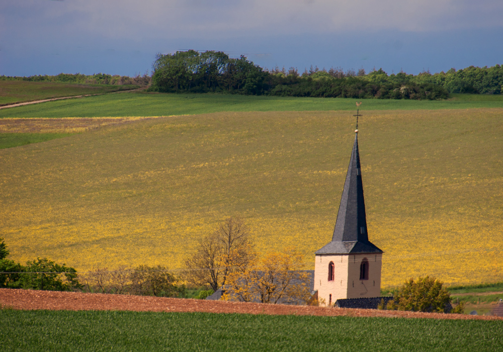 Фотографія Часовня в поле / Valziwa / photographers.ua