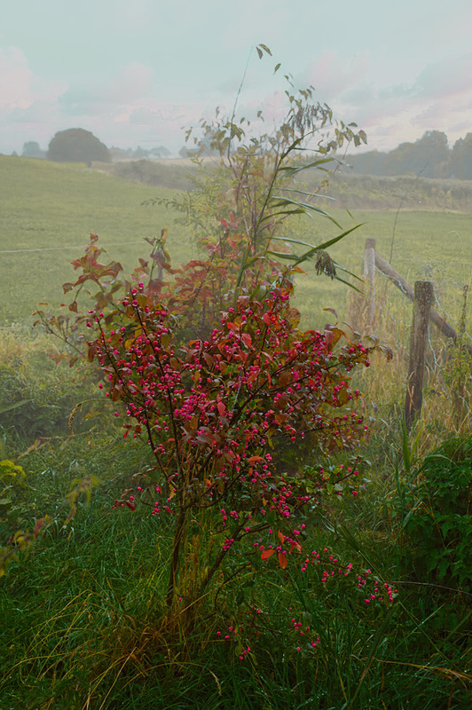 Фотографія Поступь осени / Valziwa / photographers.ua