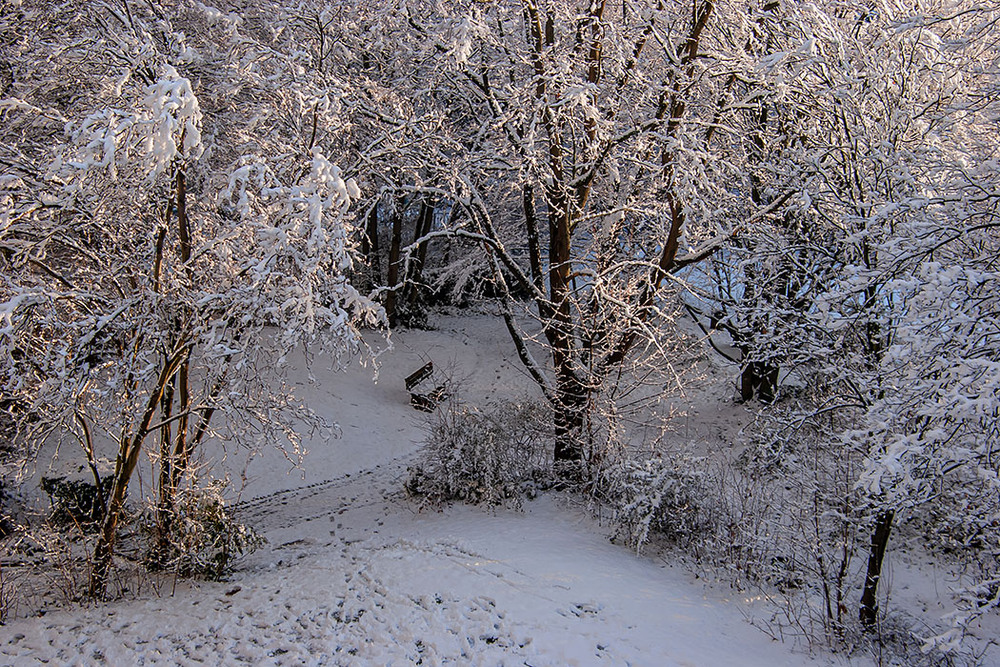 Фотографія Вранці сніг / Valziwa / photographers.ua