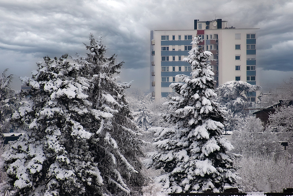 Фотографія Засипало місто снігами / Valziwa / photographers.ua