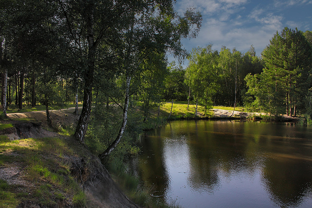 Фотографія Тишина у озера / Valziwa / photographers.ua