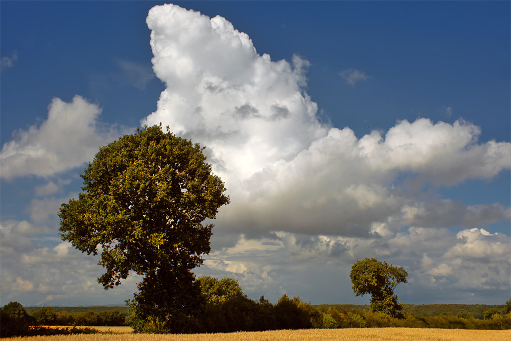 Фотографія Косматое облако в небе гуляло... / Valziwa / photographers.ua