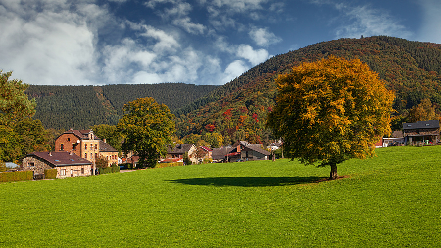 Фотографія Осенним цветом Айфель зацвели / Valziwa / photographers.ua