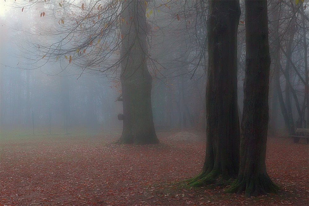 Фотографія Осень, туманное утро... / Valziwa / photographers.ua