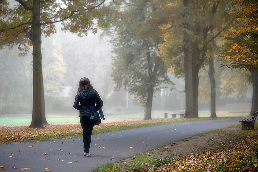 Фотографія Утренняя прогулка по туманному парку / Valziwa / photographers.ua