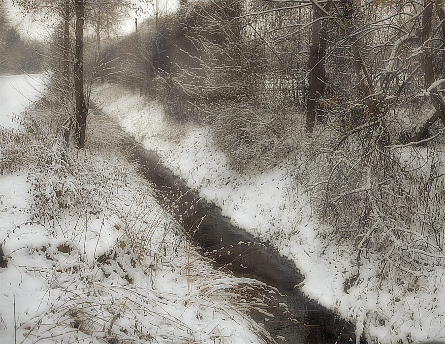 Фотографія 0624  Мне сегодня приснилась Зима... / Valziwa / photographers.ua