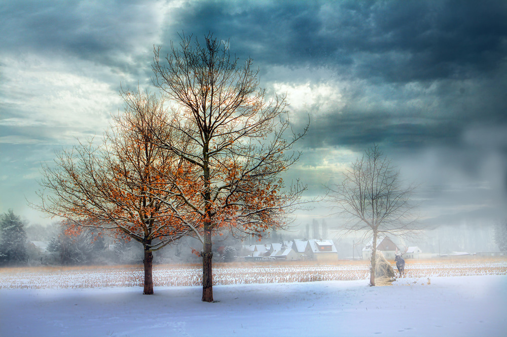 Фотографія Когда осень с зимою встречаются / Valziwa / photographers.ua