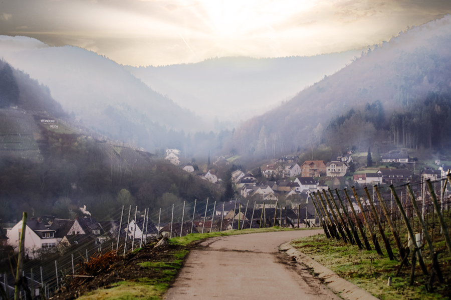 Фотографія Восход солнца в регионе Эйфель / Valziwa / photographers.ua