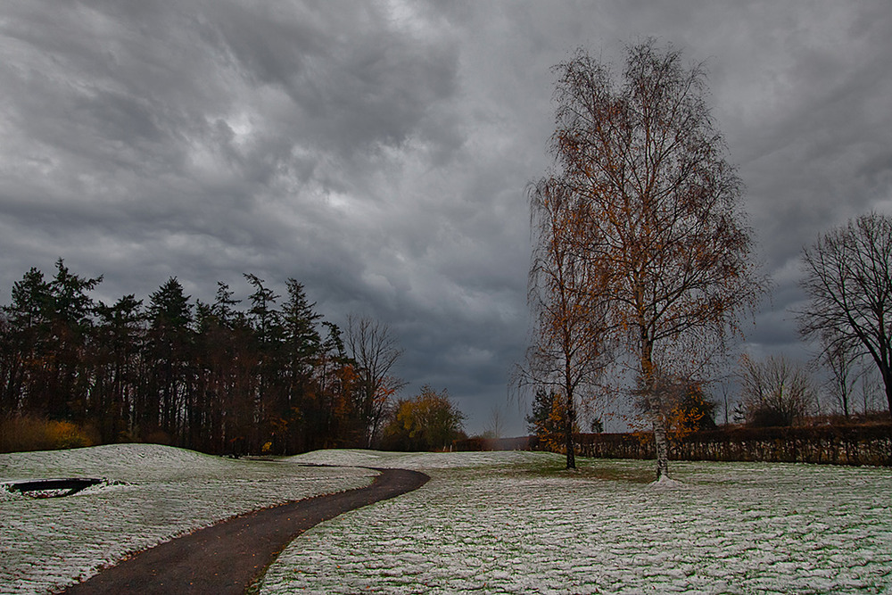 Фотографія Перший сніг наприкінці листопада / Valziwa / photographers.ua