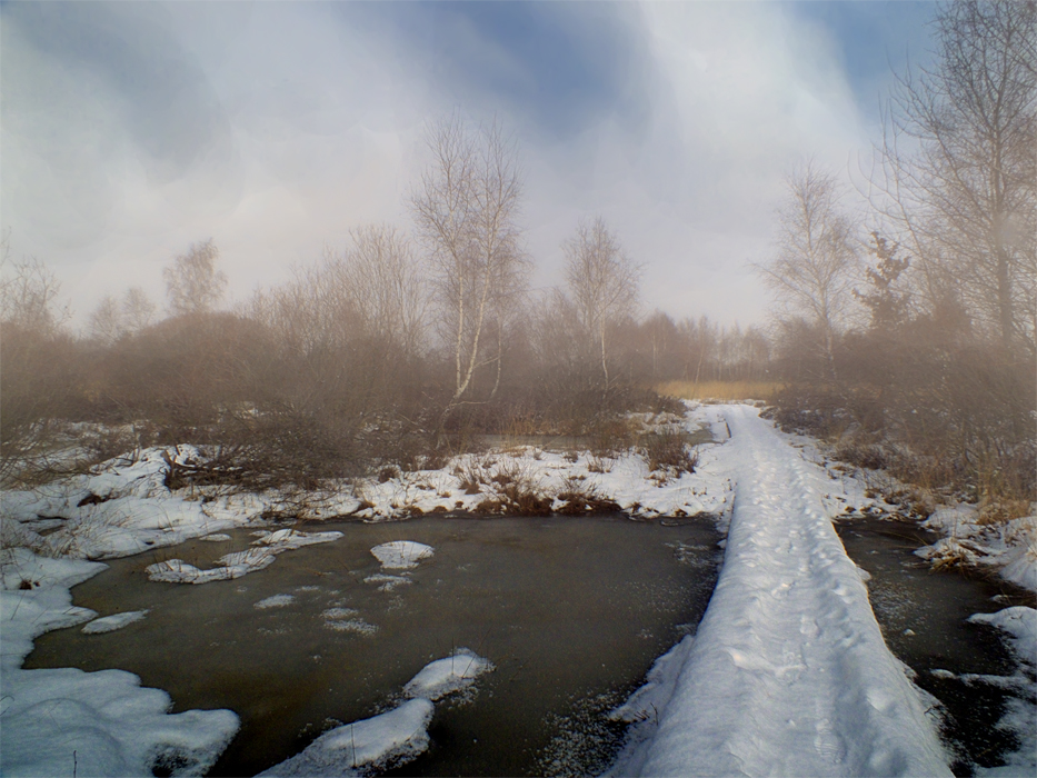 Фотографія 0730  Над болотом стелется туман / Valziwa / photographers.ua