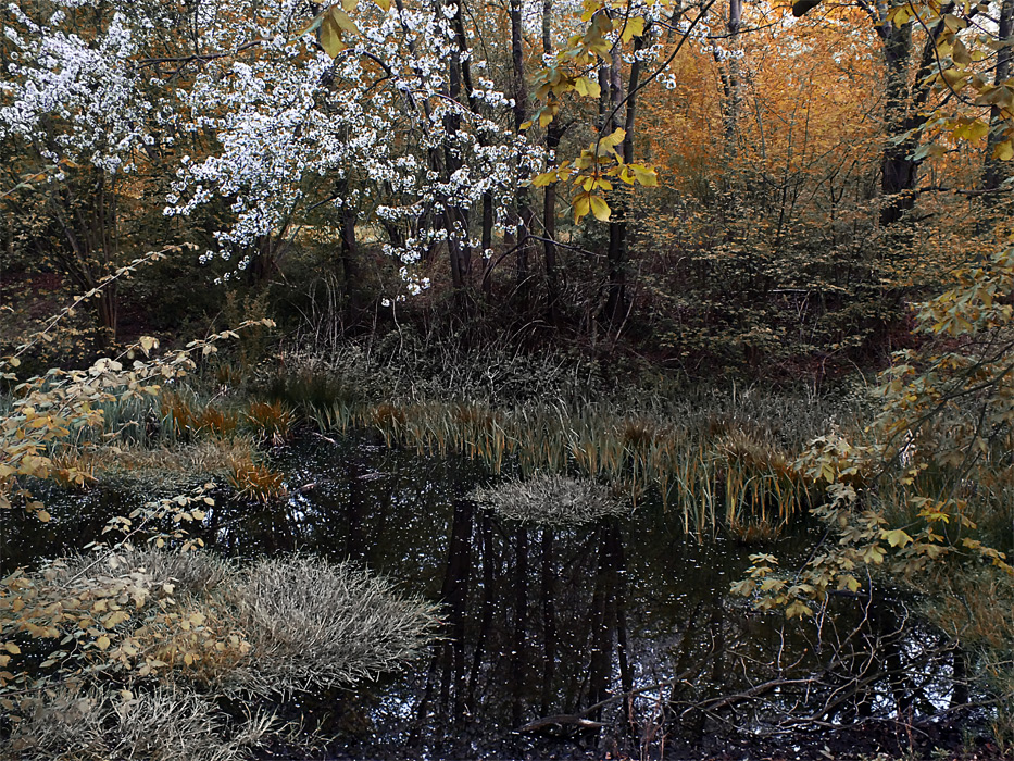 Фотографія 0736 Однажды Зима, Весна и Осень... / Valziwa / photographers.ua
