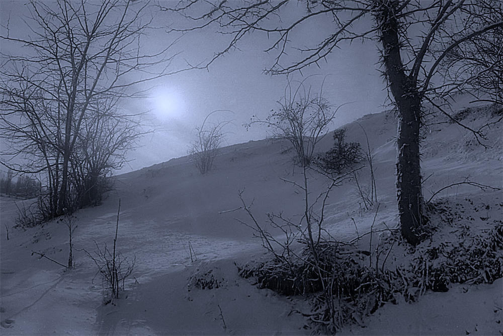 Фотографія 0655  Зимним утром морозным / Valziwa / photographers.ua