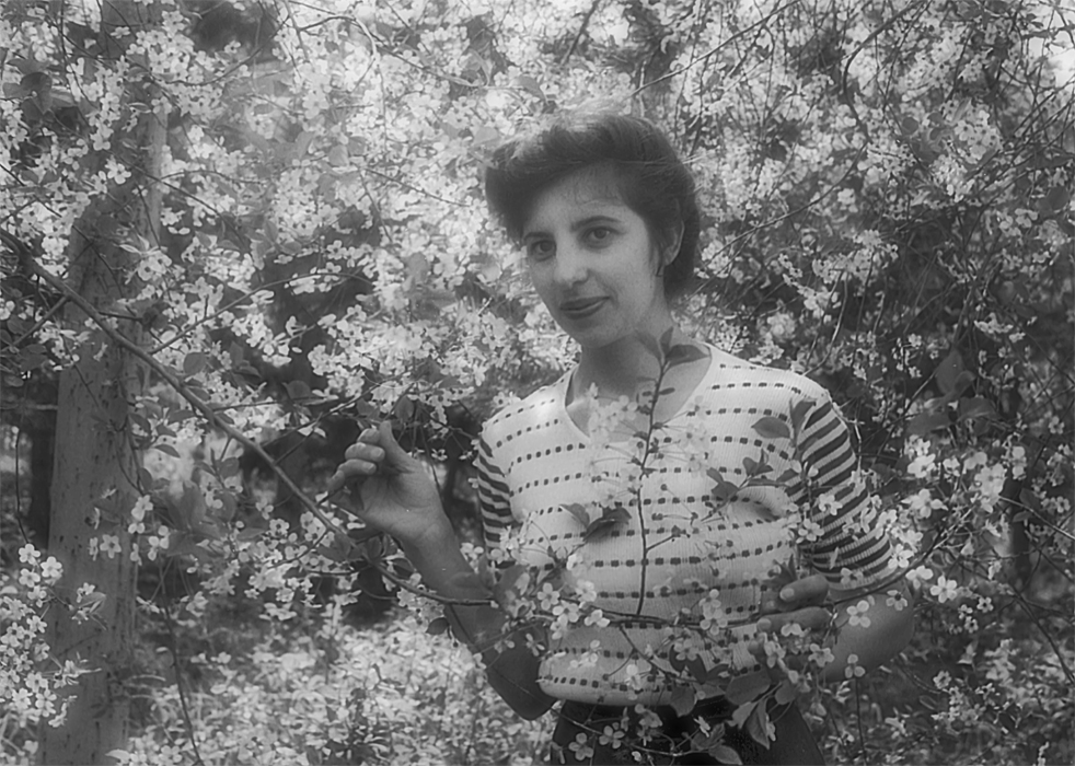 Фотографія 0234  Банальный портрет в цветущей вишне / Valziwa / photographers.ua