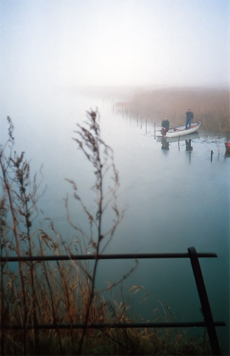 Фотографія 0821 В тумане речки голубой / Valziwa / photographers.ua