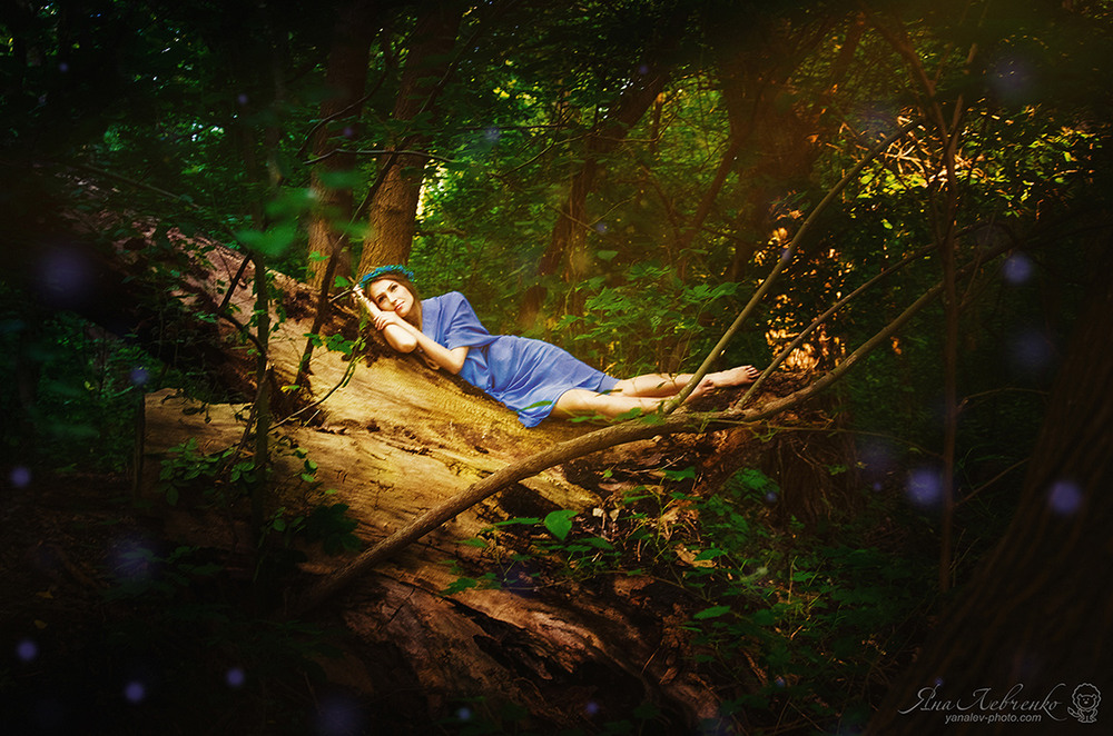 Фотографія Портрет / Яна Левченко / photographers.ua