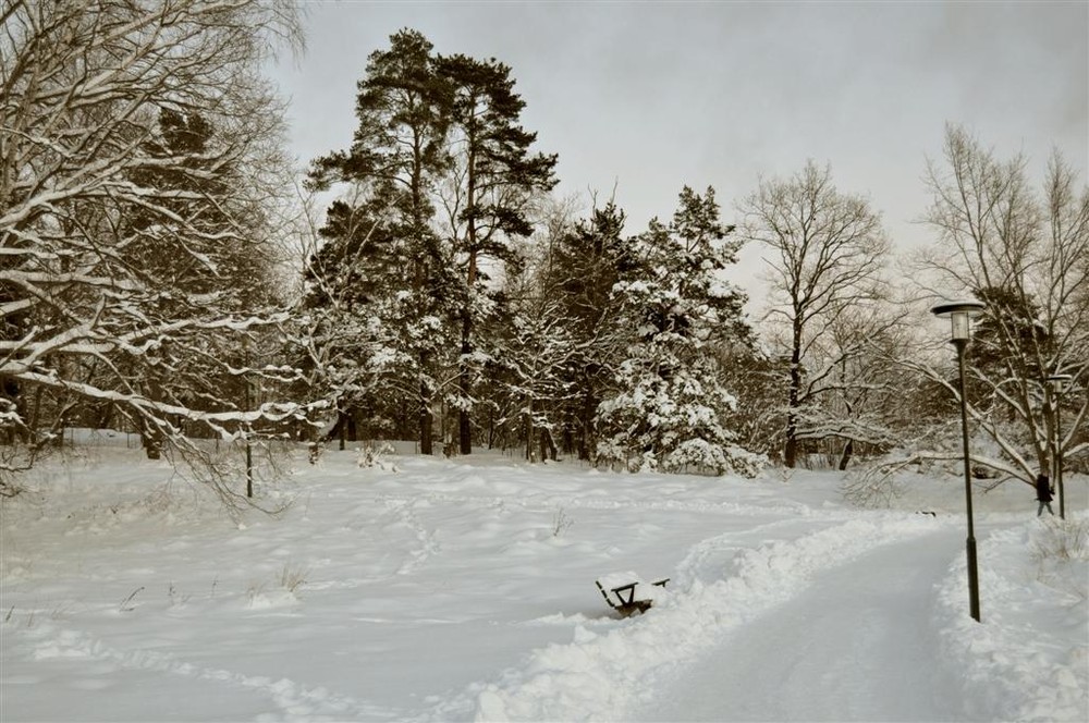Фотографія владения зимы / Инна Игольницына / photographers.ua
