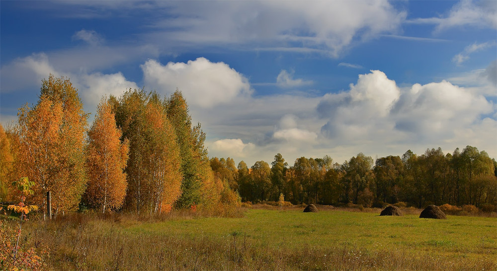 Фотографія Осень / Валерий Зайченко / photographers.ua